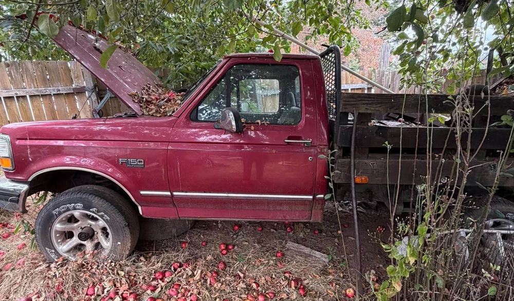 Red Ford F-150 flatbed parked under an apple tree